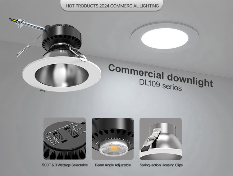 Commercial downlight DL109_series