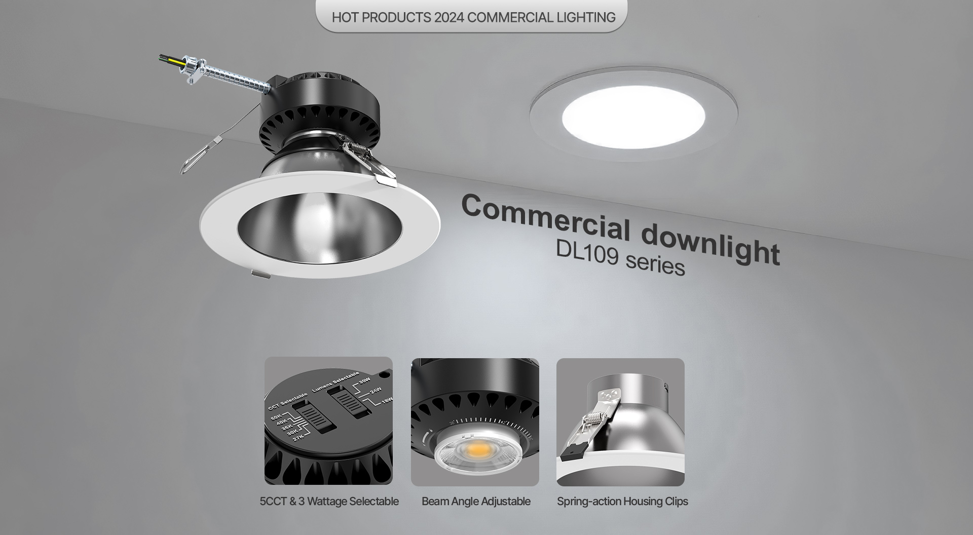 Commercial downlight DL109 series