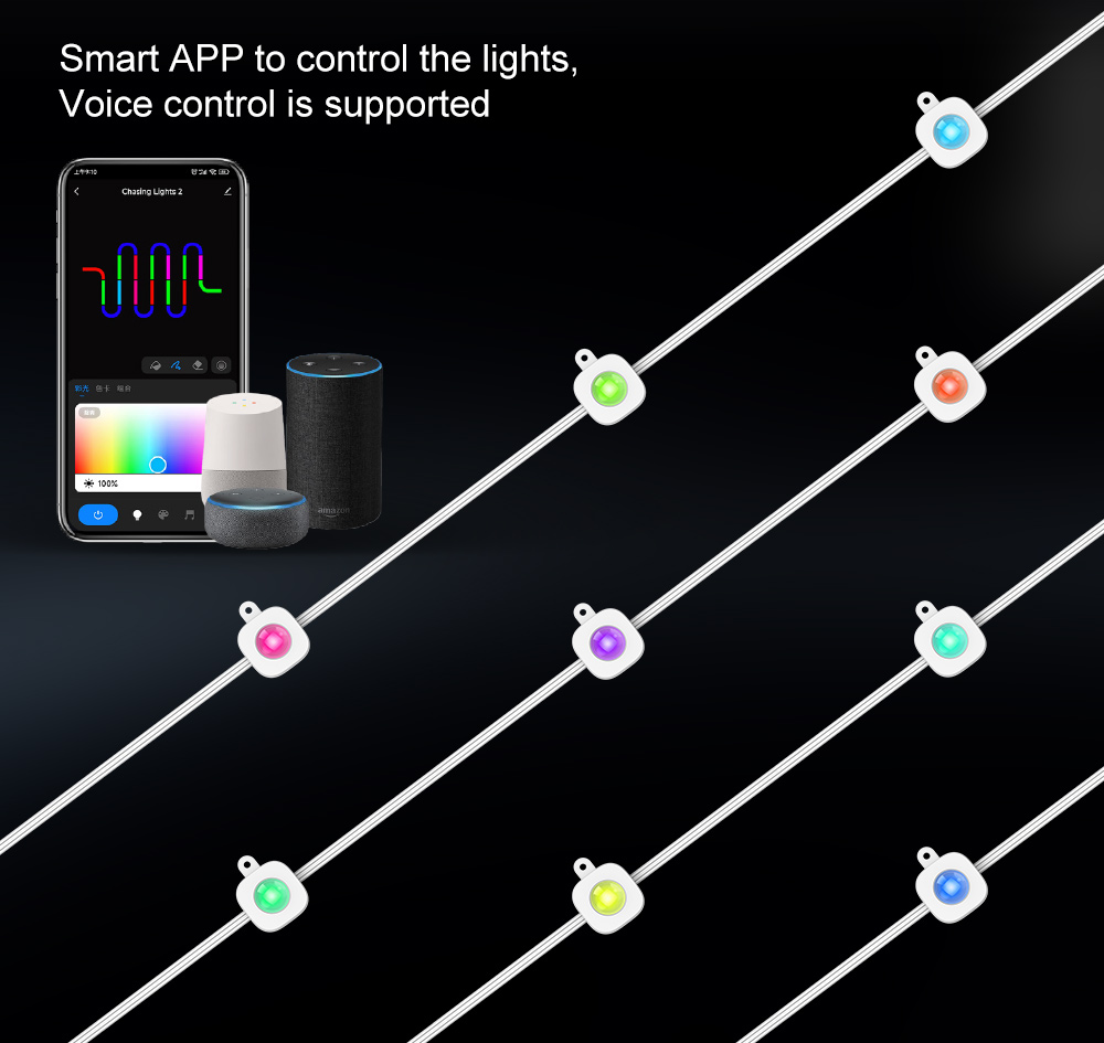 Smart-Permanent-Outdoor-String-Lights-detail4.jpg