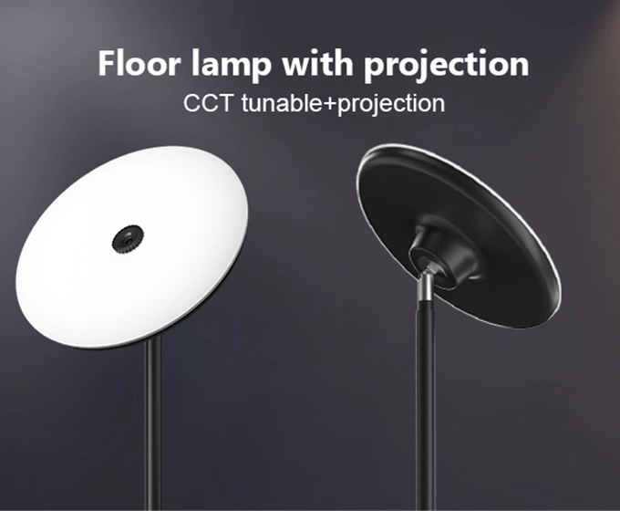 led floor lamp with projection