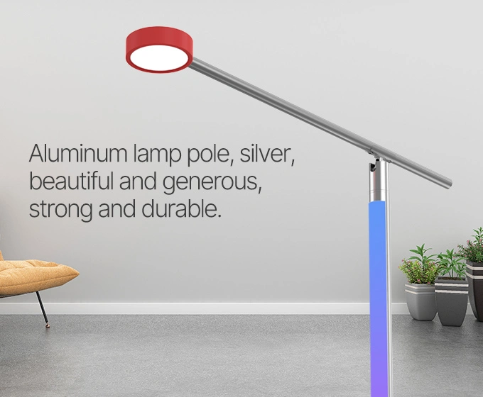 smart atmosphere floor lamp with reading function